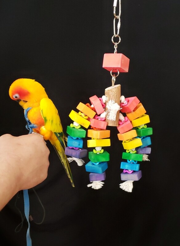 Small+ Bird Toy SSP-5