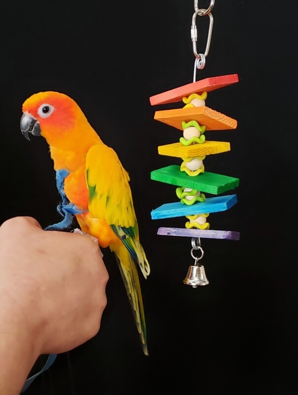 Small Bird Toy SS-4