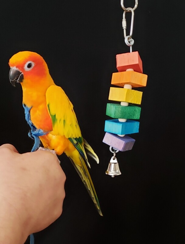 Tiny Bird Toy ST-1