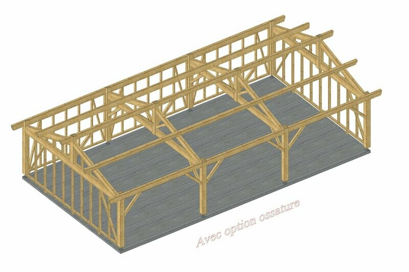 Abri deux pans 6x11m