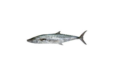 GM5-ITQ/Kg 2025 Min order 721Kg