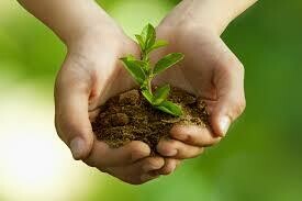 Contribute: Program of Chabad Jewish Center 