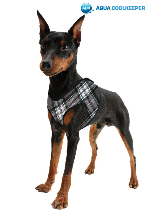 AQUA COOLKEEPER COOLING COMFY HARNESS 
Kühlweste