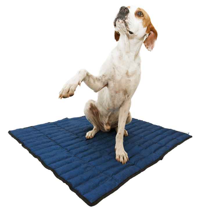 Aqua Coolkeeper Cooling Mat / Kühlmatte