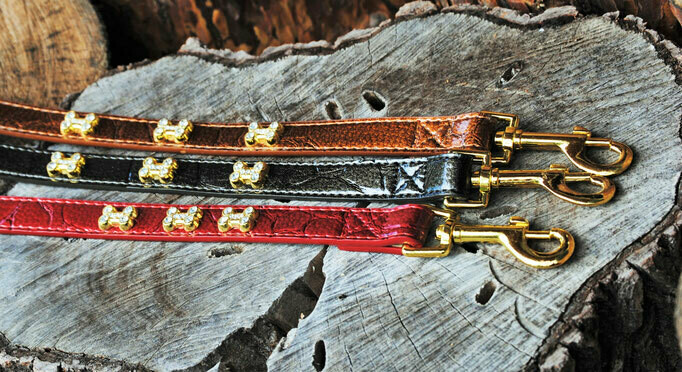 Kürzführer ARTLEATHER Bones Strass