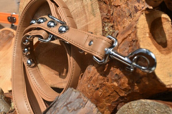 Leine Artleather Round