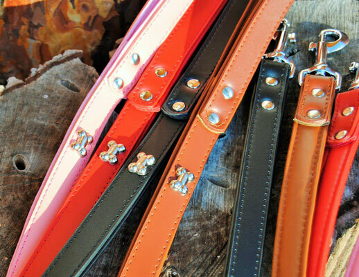Artleather Bones Leine