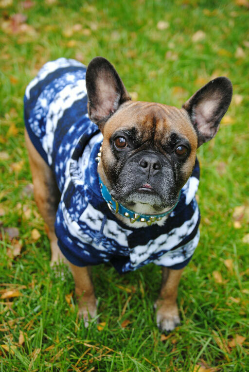 Fleecejacke/ Pullover AUSLAUFARTIKEL