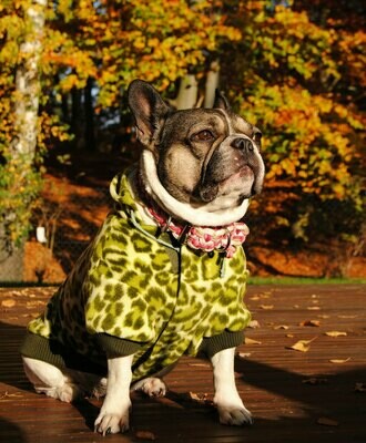 Fleecejacke/ Pullover AUSLAUFARTIKEL