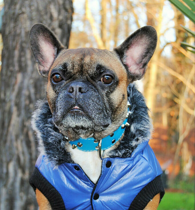 Ski Jacke Lovely  Army