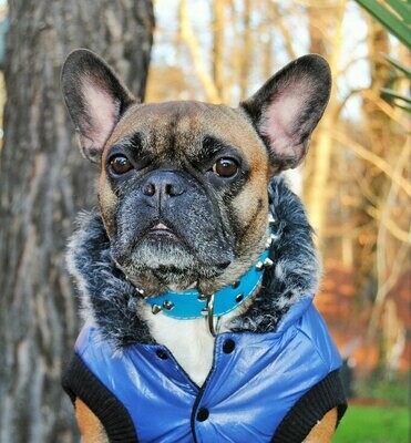 Ski Jacke Lovely  Army