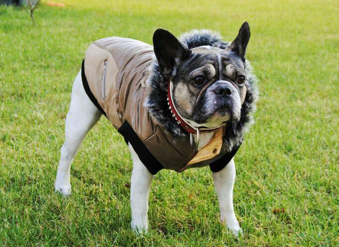 Ski Jacke Lovely  Army