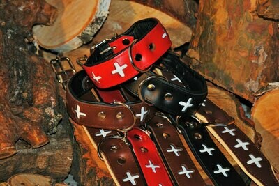 Lederhalsband Schweiz