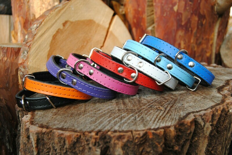 Halsband Leder für Welpen und kleine Hunde