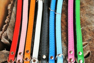 Halsband Leder für Welpen und kleine Hunde
