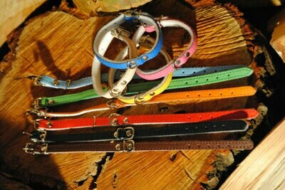 Halsband Leder- Filz klein