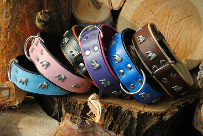 Lederhalsband mit Niete ´Englische Bulldogge´ %%%%%%%% Auslaufartikel