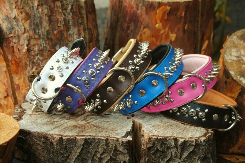 Lederhalsband Stachelnieten