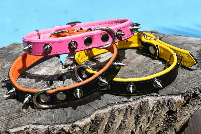 Lederhalsband Stachelnieten schmal