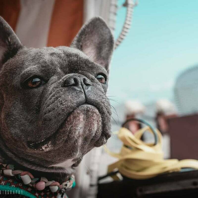 EM-Kette Summer Ethno / EM-Keramikketten / EM-Keramik Halsband gegen Zecken