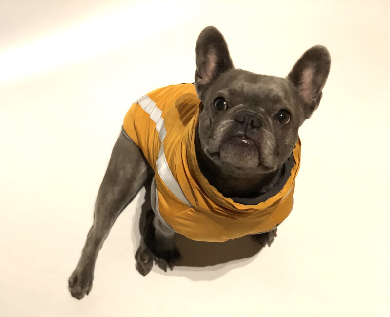 Hundemantel Outdoor Waterproof mit Reißverschluss warm gefüttert