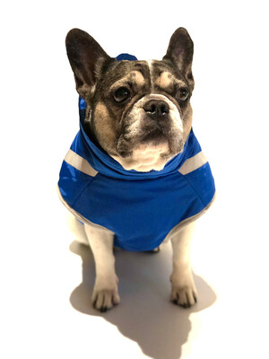 Hundemantel Outdoor Waterproof mit Reißverschluss warm gefüttert