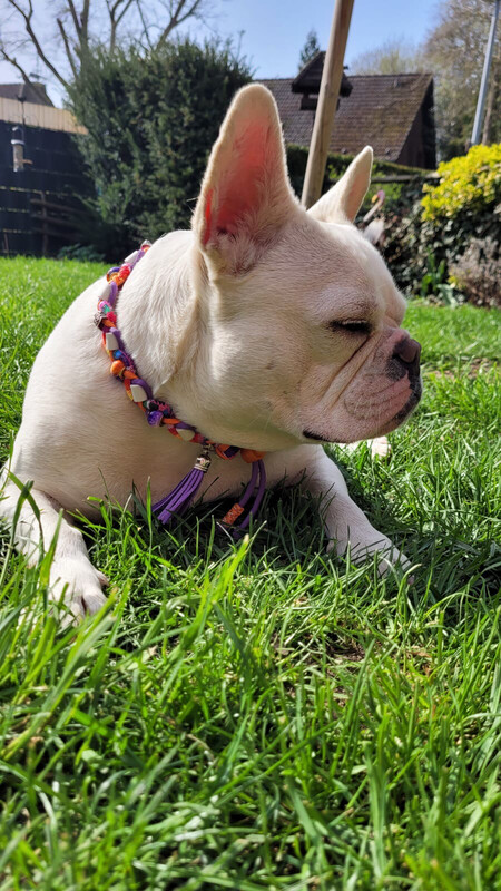 EM-Kette Hippie bunt/ EM-Keramikketten / EM-Keramik Halsband gegen Zecken