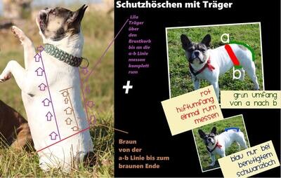Schutzhöschen auf Maß mit Träger