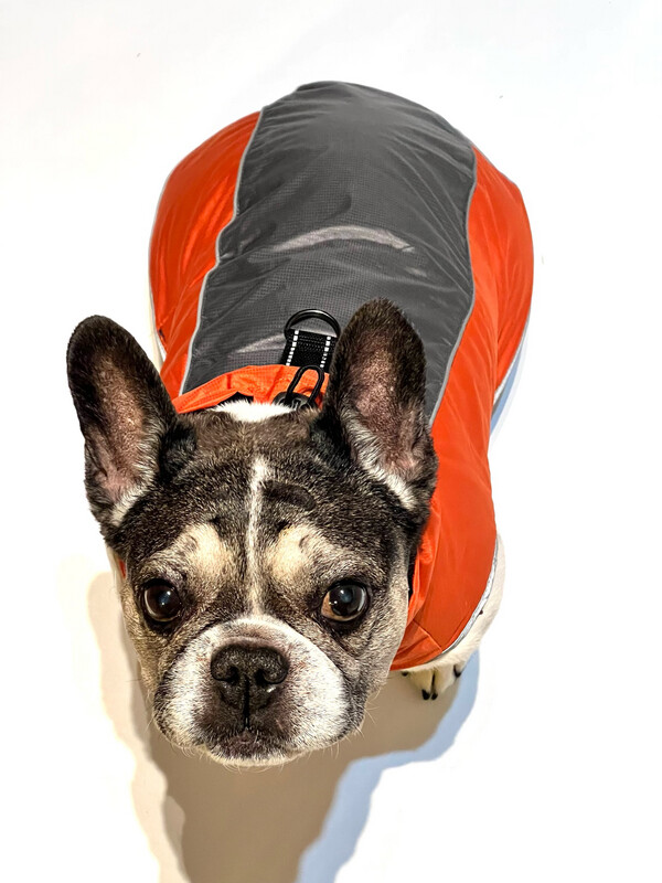 Hundemantel Waterproof mit Klettverschluss