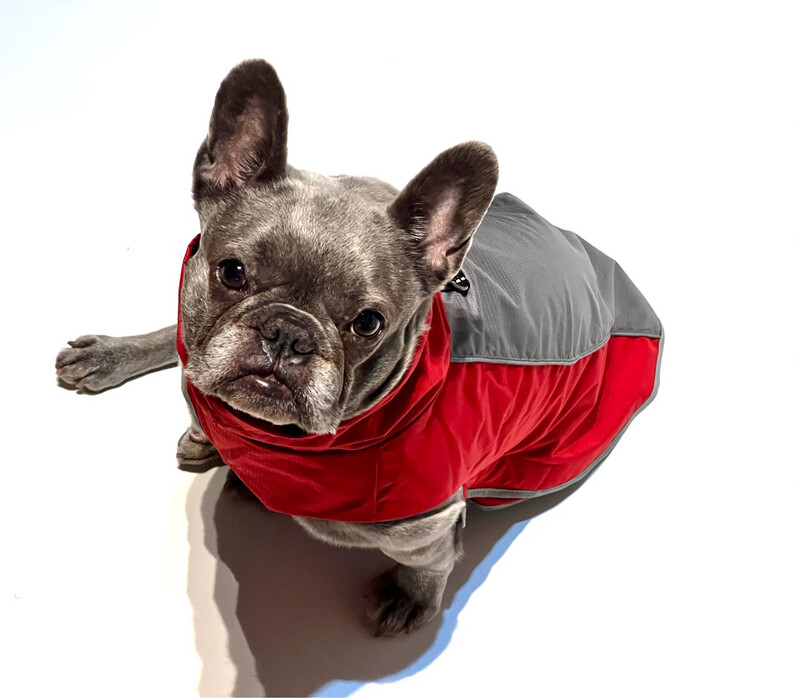 Hundemantel Waterproof mit Klettverschluss