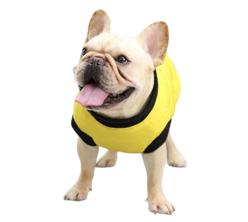 Hundemantel Bulldogge schmal oder breit mit Reißverschnuss