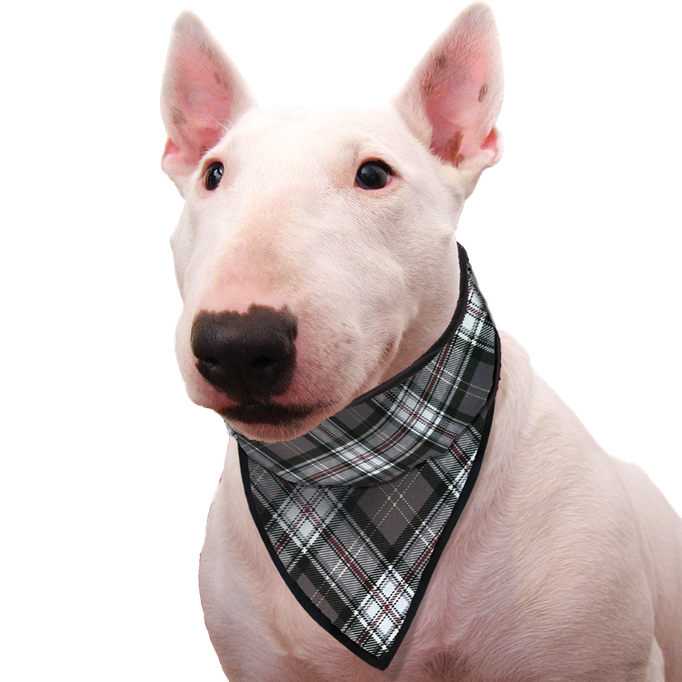 Aqua Coolkeeper Cooling Pet Bandana Kühlhalsband mit Tuch Aqua Coolkeeper Cooling Pet Bandana Kühlhalsband mit Tuch
