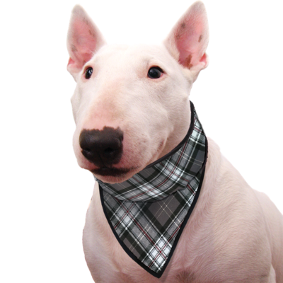 Aqua Coolkeeper Cooling Pet Bandana Kühlhalsband mit Tuch