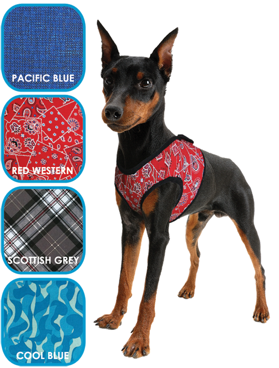 AQUA COOLKEEPER COOLING COMFY HARNESS Kühlweste