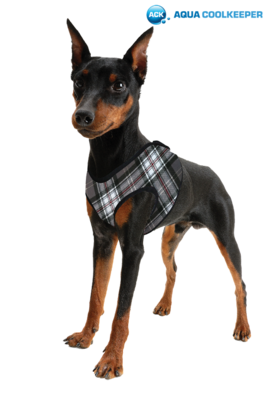 AQUA COOLKEEPER COOLING COMFY HARNESS Kühlweste AQUA COOLKEEPER COOLING COMFY HARNESS Kühlweste