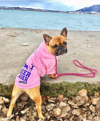 Hoodie mit Kapuze auf Wunsch mit Druck Hoodie mit Kapuze auf Wunsch mit Druck