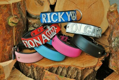 Lederhalsband mit Namen und Motiven SILBER / STRASS