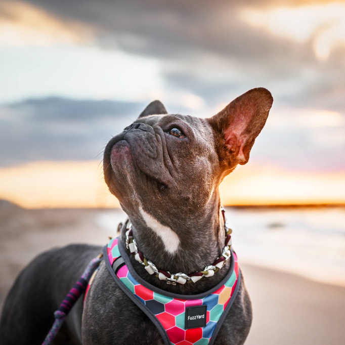 EM-Ketten/ EM-Keramikketten / EM-Keramik Halsband gegen Zecken mit Totenköpfen oder Perlen