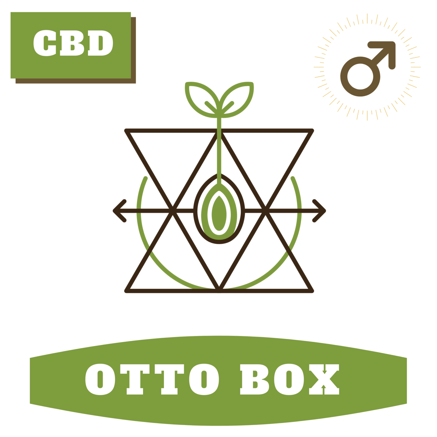 Otto Box 