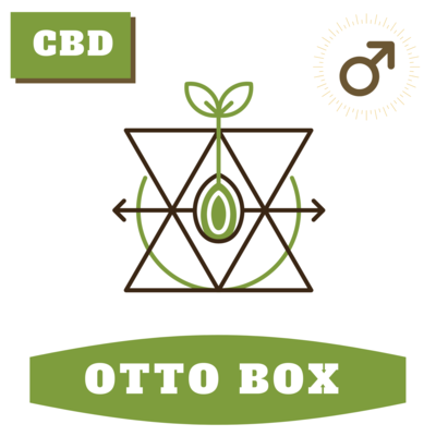 Otto Box 