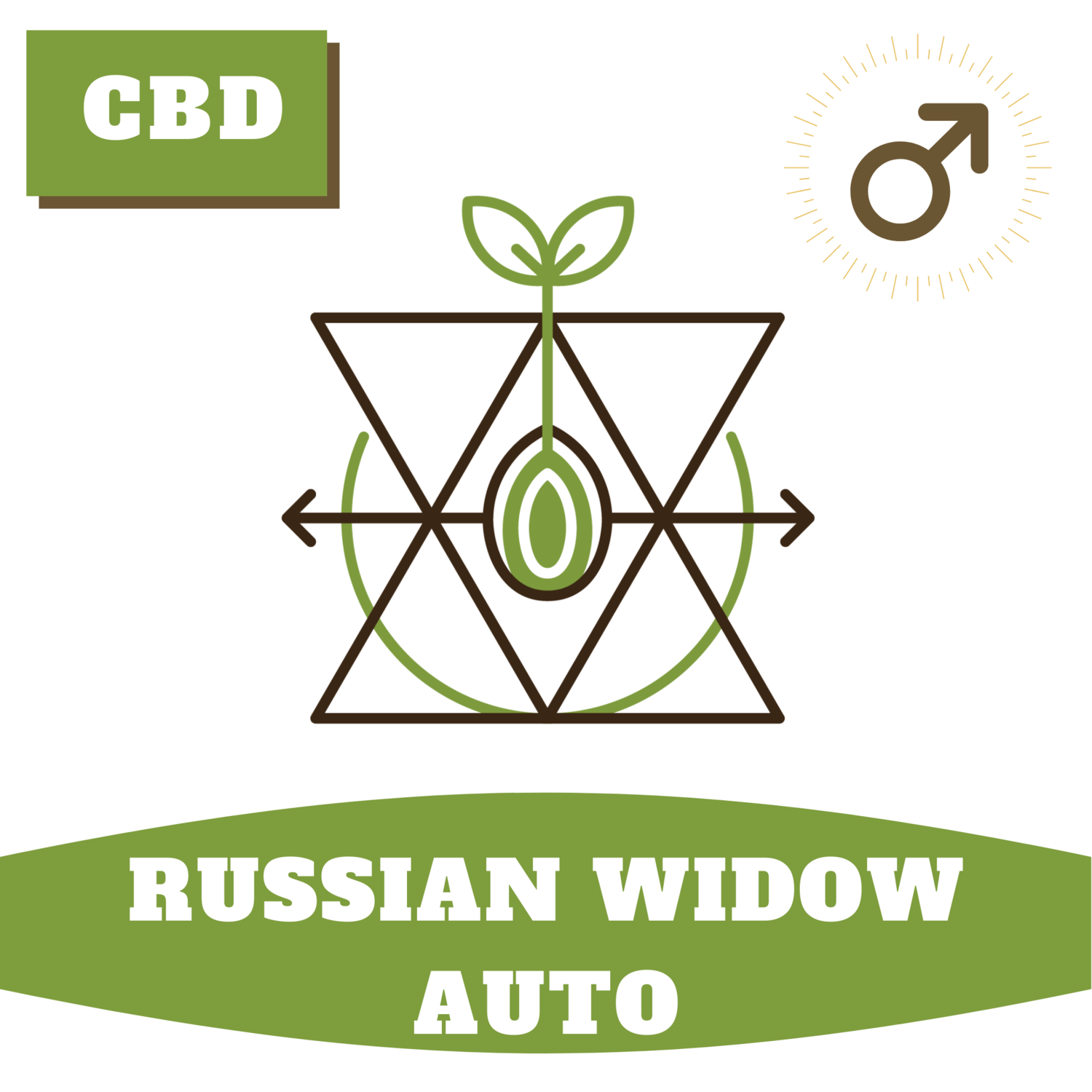 Russian Widow Auto 