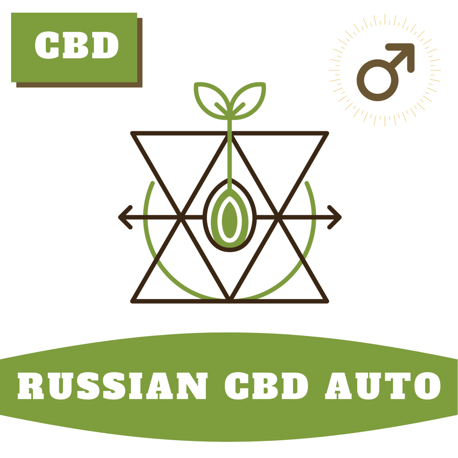 Russian CBD Autoflower