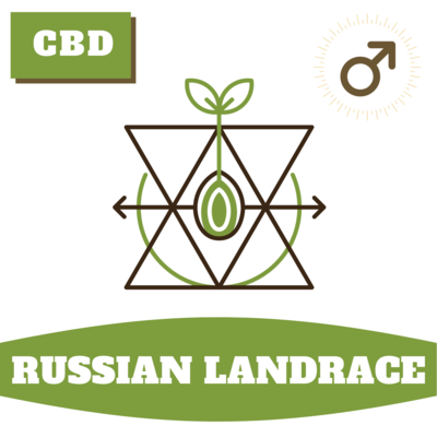 Russian Auto Landrace Russian Auto Landrace