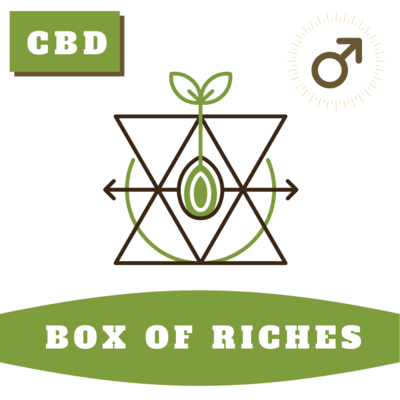 Box of Riches 
