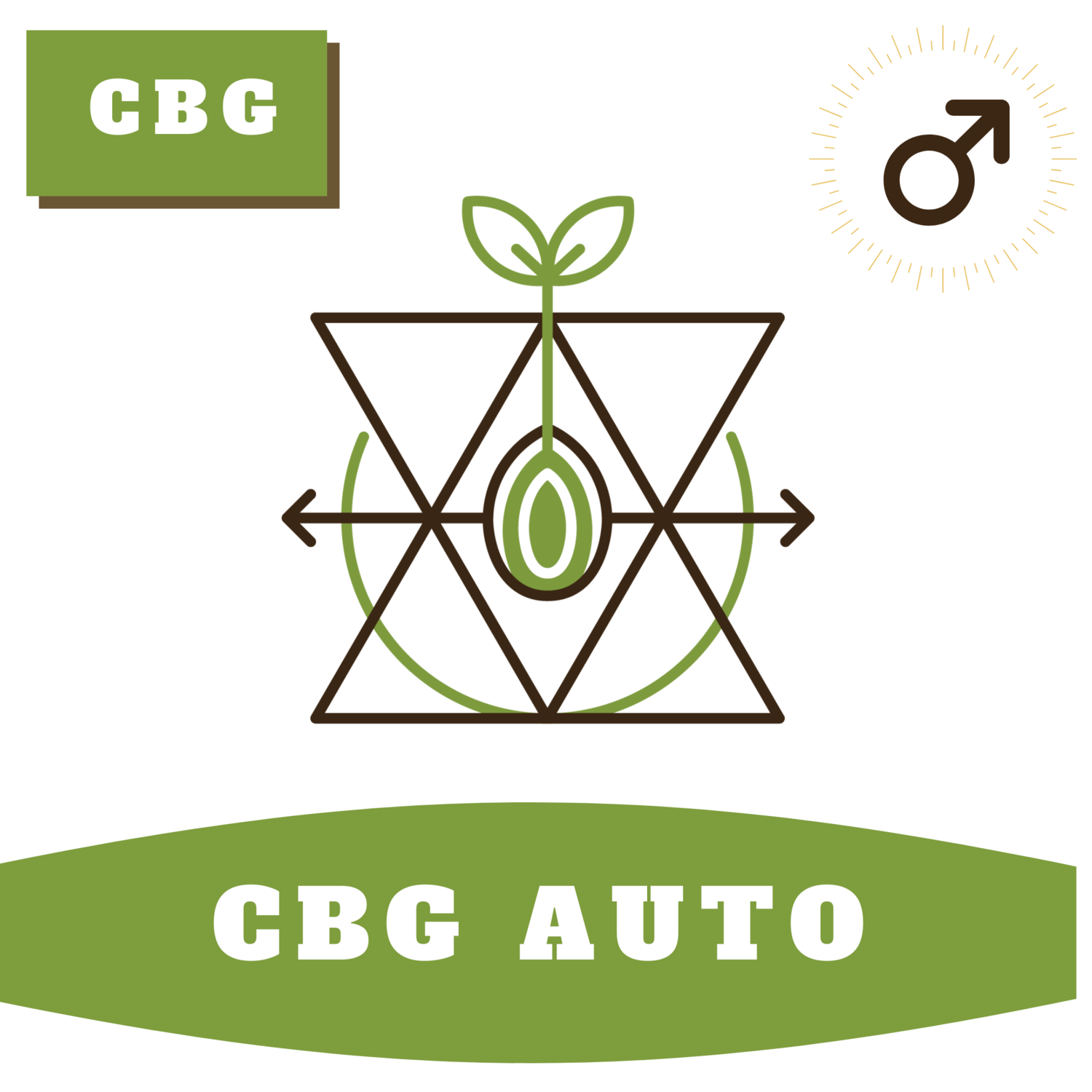 CBG Auto 