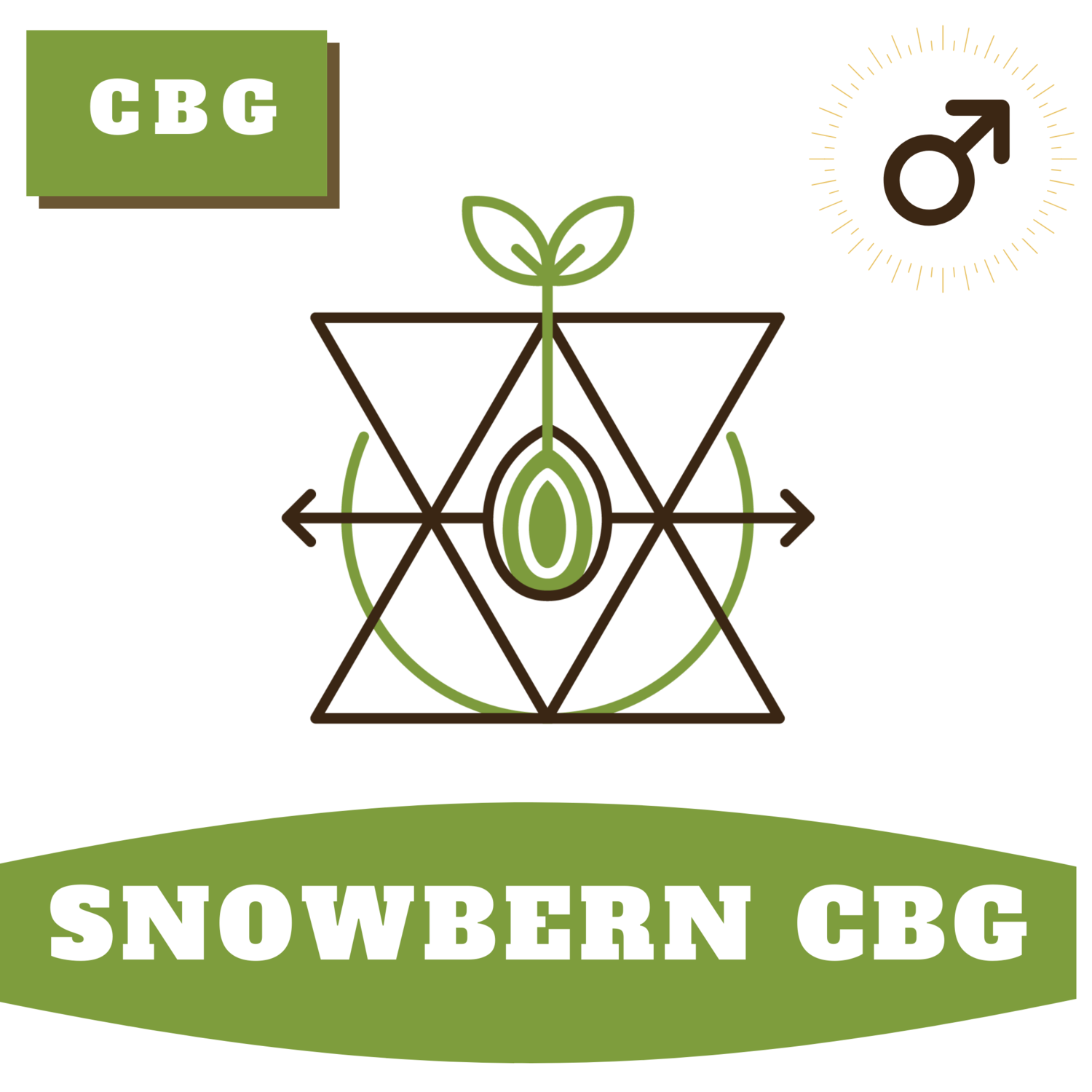 Snowbern CBG 