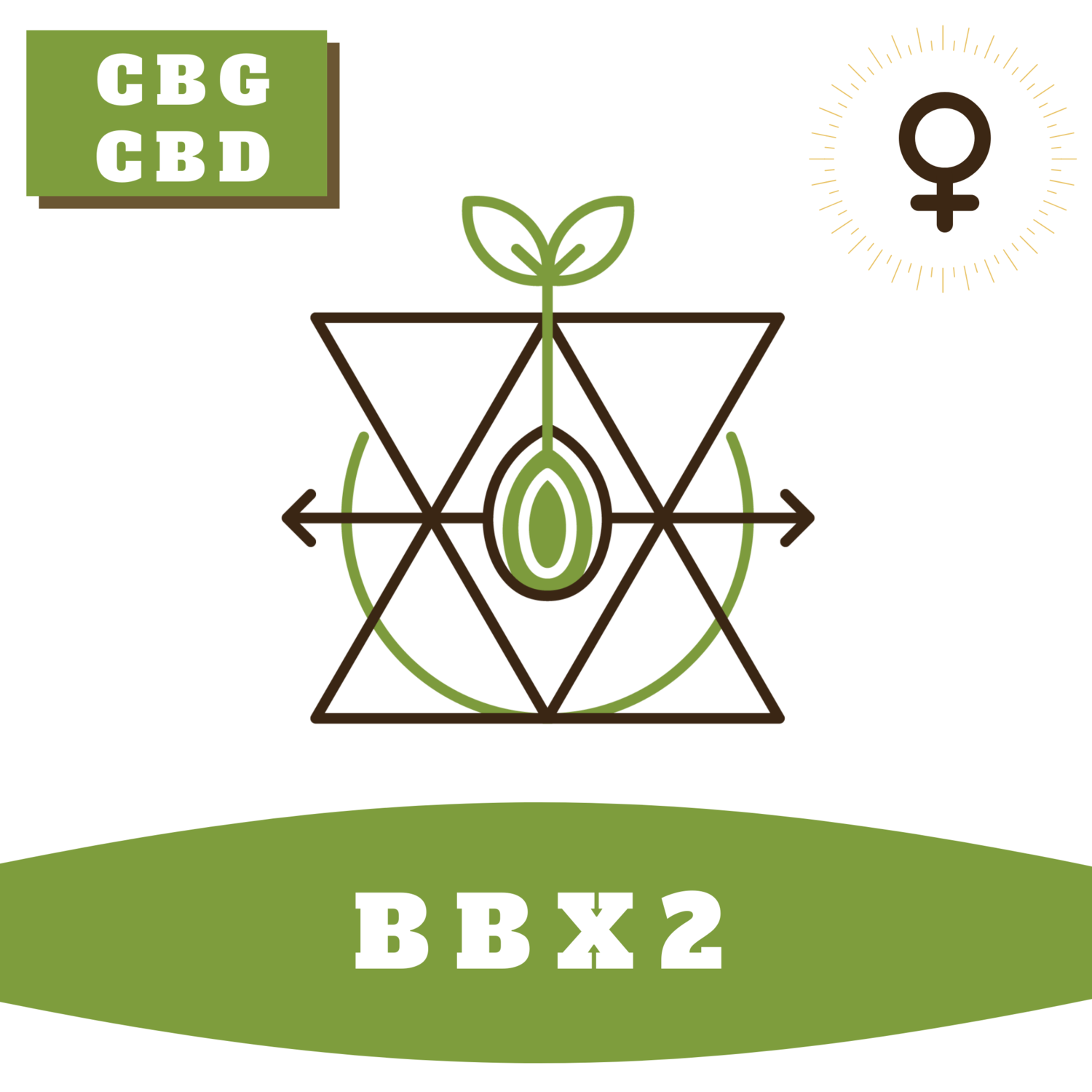 BBX2 CBG (F)