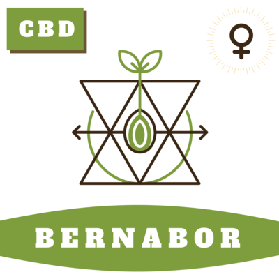 Bernabor 