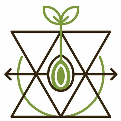 Chinese Hemp Fiber Seed 1000 (R) Seeds
