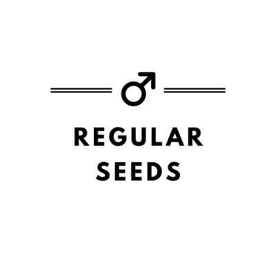 Male/Female Seeds